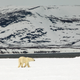 Illustration for article titled Heartbreaking Photos Of Polar Bears Who Will Die Before The Next ‘Metroid Prime’ If Nintendo Doesn’t Get Their Shit Together
